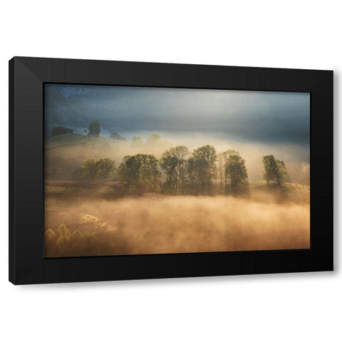 Sunrise veil Black Modern Wood Framed Art Print by Ionut Coman, Alexandru
