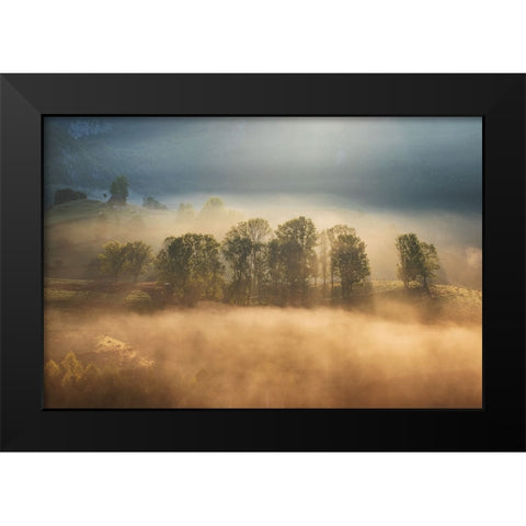 Sunrise veil Black Modern Wood Framed Art Print by Ionut Coman, Alexandru