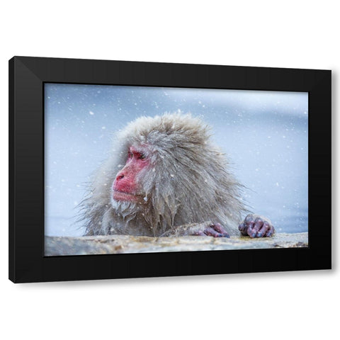 A Regular Day Black Modern Wood Framed Art Print by Aktas, Ozan