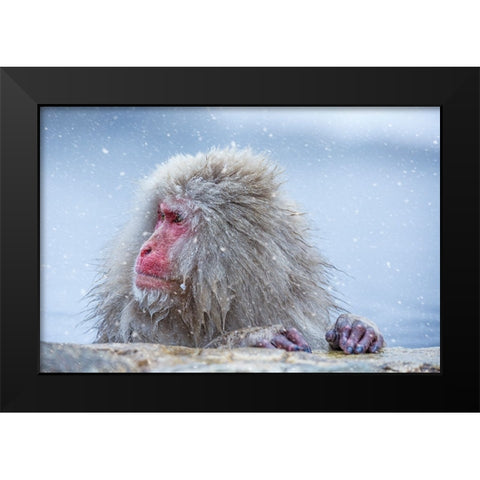 A Regular Day Black Modern Wood Framed Art Print by Aktas, Ozan