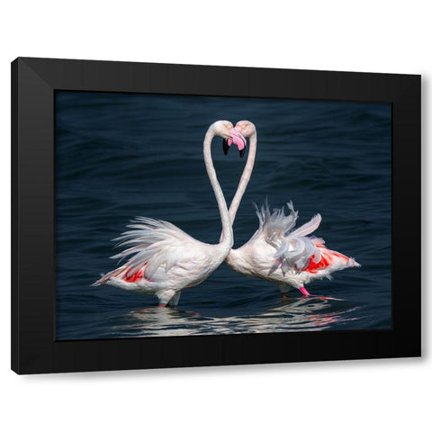 Flamingo Black Modern Wood Framed Art Print by Elkahlawi, Ahmed