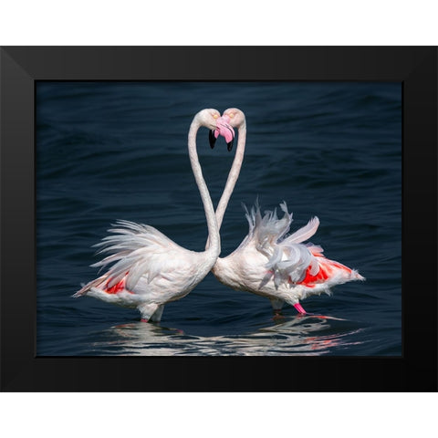 Flamingo Black Modern Wood Framed Art Print by Elkahlawi, Ahmed