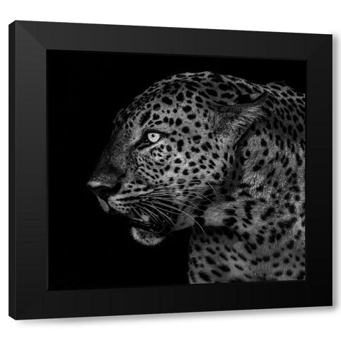 Untitled Black Modern Wood Framed Art Print with Double Matting by Tao, Liwen