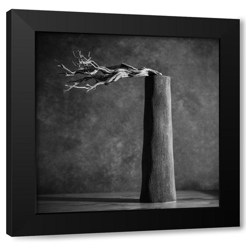 Chimney Black Modern Wood Framed Art Print with Double Matting by Weiss, Konstantin