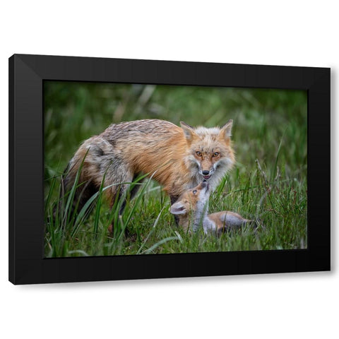 Love Black Modern Wood Framed Art Print by Cheng, Jie