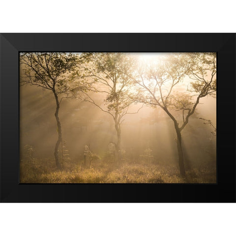 Three trees Black Modern Wood Framed Art Print by Sugita, Masaki
