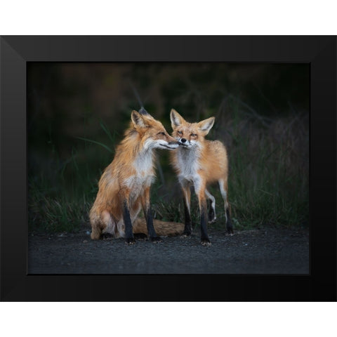 Only You In My Eyes Black Modern Wood Framed Art Print by Zhang, Ling