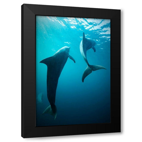 Shapes Of Water Black Modern Wood Framed Art Print by Melesan, Serge