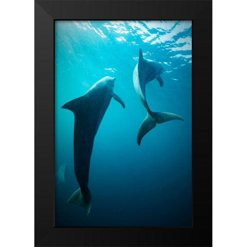 Shapes Of Water Black Modern Wood Framed Art Print by Melesan, Serge