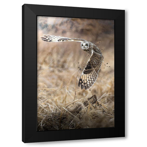 fly into the sky Black Modern Wood Framed Art Print by Matsubara, Hiroki