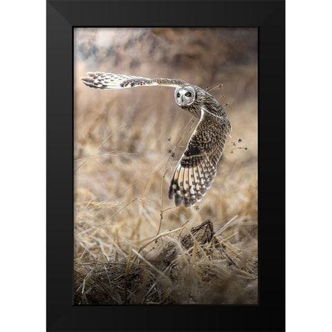 fly into the sky Black Modern Wood Framed Art Print by Matsubara, Hiroki