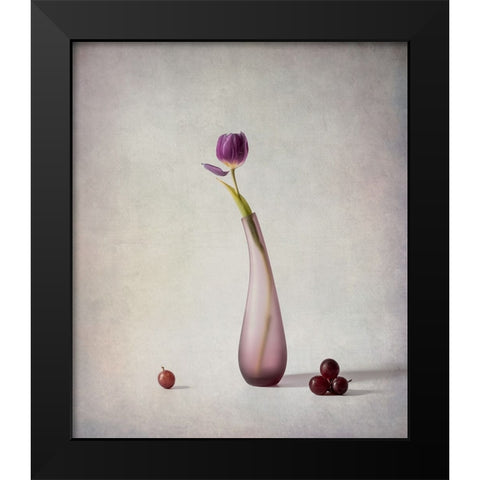Tulip And Grapes Black Modern Wood Framed Art Print by G, May