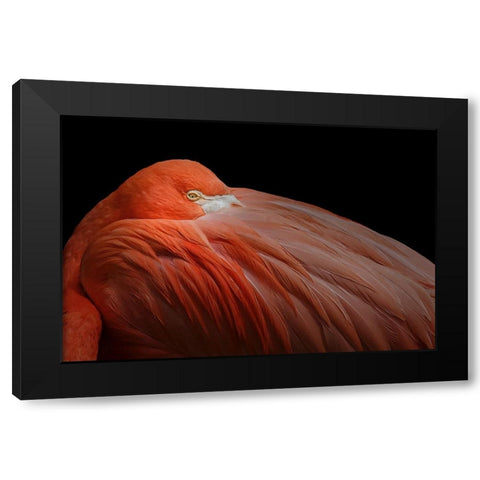 Untitled Black Modern Wood Framed Art Print by Pandya, Hardik