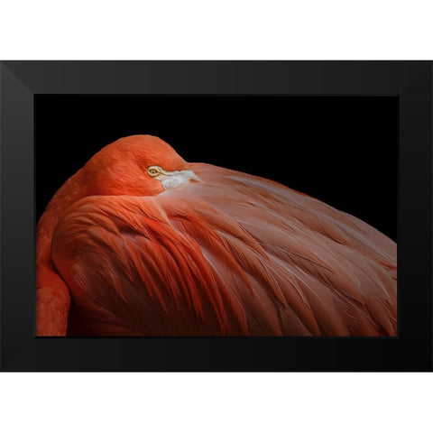 Untitled Black Modern Wood Framed Art Print by Pandya, Hardik