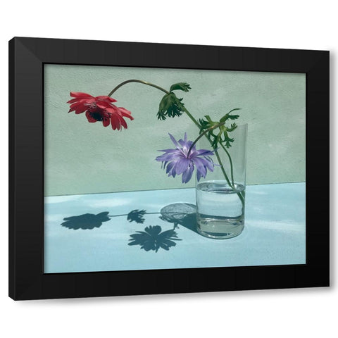 Light a Shadow Black Modern Wood Framed Art Print with Double Matting by Basso, Donatella