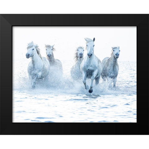 Horses on the Run Black Modern Wood Framed Art Print by Zvelebil Phd, Marketa