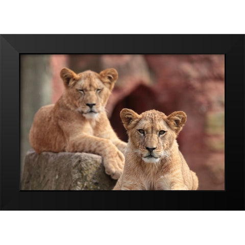 SISTERS Black Modern Wood Framed Art Print by Wenner-Braun, Antje