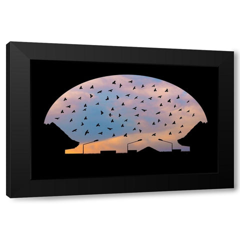 Homeward Bound Black Modern Wood Framed Art Print by Nayyer Reza, Sayyed