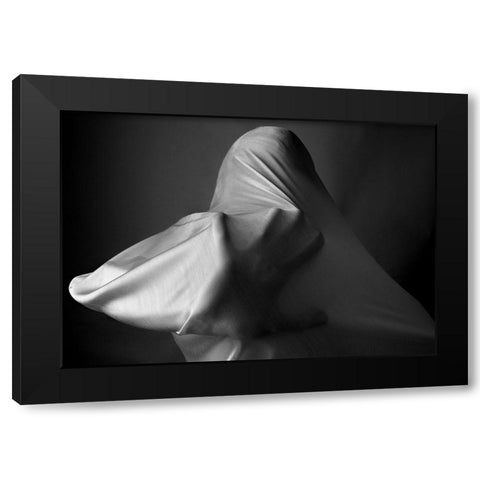 Fanatic Black Modern Wood Framed Art Print with Double Matting by Arabzadeh, Abbas