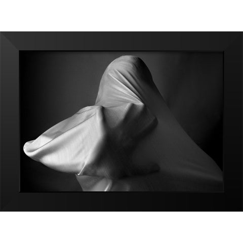 Fanatic Black Modern Wood Framed Art Print by Arabzadeh, Abbas
