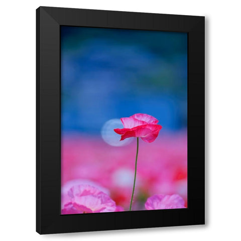 Untitled Black Modern Wood Framed Art Print with Double Matting by Nakada, Chisho