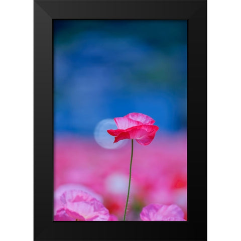Untitled Black Modern Wood Framed Art Print by Nakada, Chisho