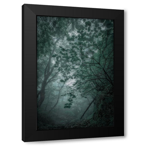 Fogaforest Black Modern Wood Framed Art Print by Yamashita, Takafumi