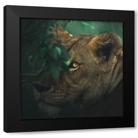 Eye Contact Black Modern Wood Framed Art Print with Double Matting by Sobhi, Ahmed