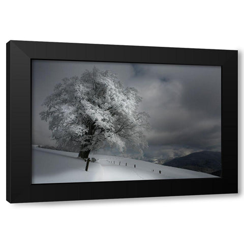 Schneeweg Black Modern Wood Framed Art Print by Schumacher, Nicolas