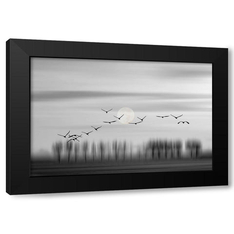 Flying free! Black Modern Wood Framed Art Print with Double Matting by Wijers Smeets, Wilma