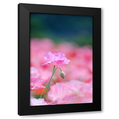 Untitled Black Modern Wood Framed Art Print by Nakada, Chisho