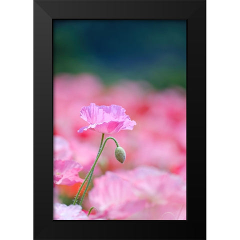 Untitled Black Modern Wood Framed Art Print by Nakada, Chisho