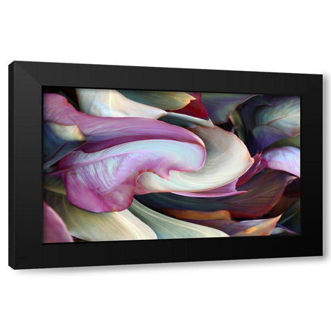 The colors in leaves Black Modern Wood Framed Art Print with Double Matting by Wechsler, Robin