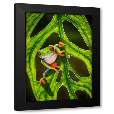 Good Morning Black Modern Wood Framed Art Print with Double Matting by Muliani Hartojo, Angela