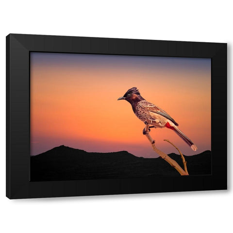 Bulbul Black Modern Wood Framed Art Print with Double Matting by Nayyer Reza, Sayyed