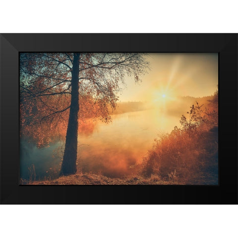 Gold of the fall Black Modern Wood Framed Art Print by Kado, Pawel