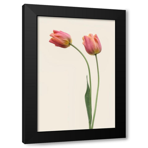 Duo Black Modern Wood Framed Art Print by Gronkjar, Lotte