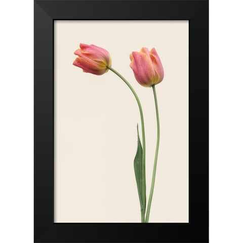 Duo Black Modern Wood Framed Art Print by Gronkjar, Lotte
