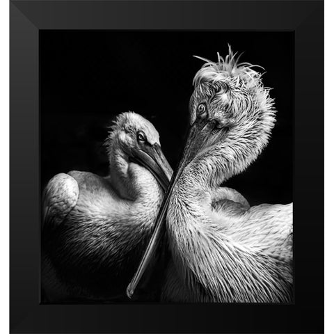 Crisscross Black Modern Wood Framed Art Print by Singh, Anita