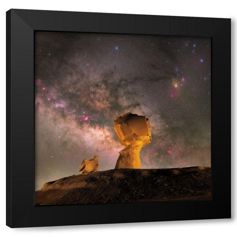 Mushroom Black Modern Wood Framed Art Print by Chander, Vikas