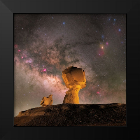 Mushroom Black Modern Wood Framed Art Print by Chander, Vikas