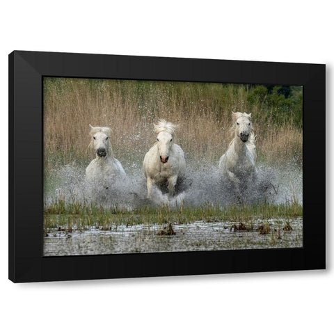Coming in  to the dry Black Modern Wood Framed Art Print with Double Matting by Zvelebil PhD, Marketa