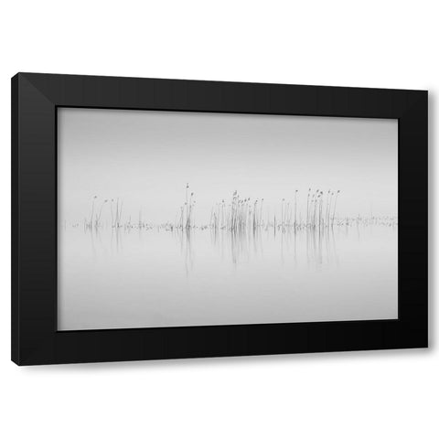 Simplicity Black Modern Wood Framed Art Print by Pettersson, Benny