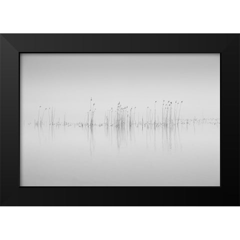 Simplicity Black Modern Wood Framed Art Print by Pettersson, Benny