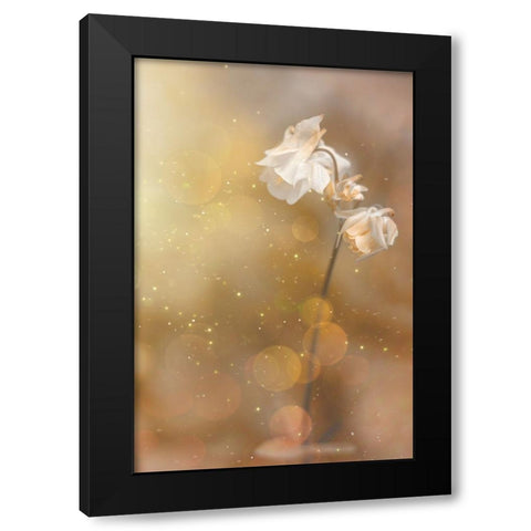 Golden Hour Black Modern Wood Framed Art Print with Double Matting by Kiral, Cicek