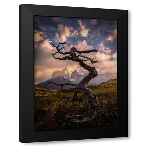 Dead Tree Black Modern Wood Framed Art Print by Zhang, Dennis