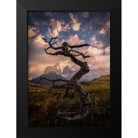 Dead Tree Black Modern Wood Framed Art Print by Zhang, Dennis