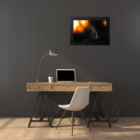 Pulsatilla Pratensis Black Modern Wood Framed Art Print by Rozehnal, Jan