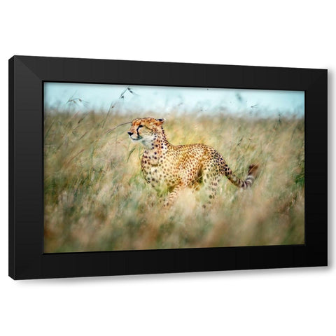 Secret Way Black Modern Wood Framed Art Print with Double Matting by Roshkumar