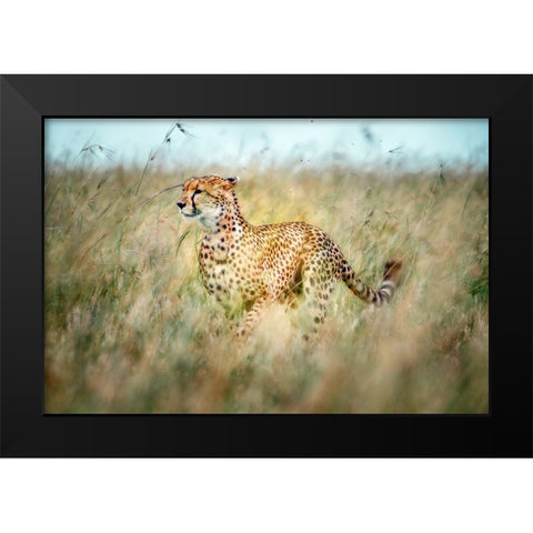 Secret Way Black Modern Wood Framed Art Print by Roshkumar